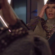 Image for article titled Star Trek: The Next Generation: "Aquiel"/"Face Of The Enemy"
